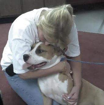 Help a Four-Legged Friend in Need