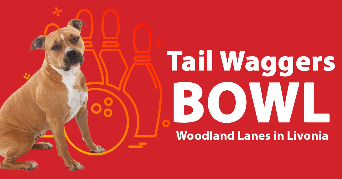 Tail Waggers Bowl